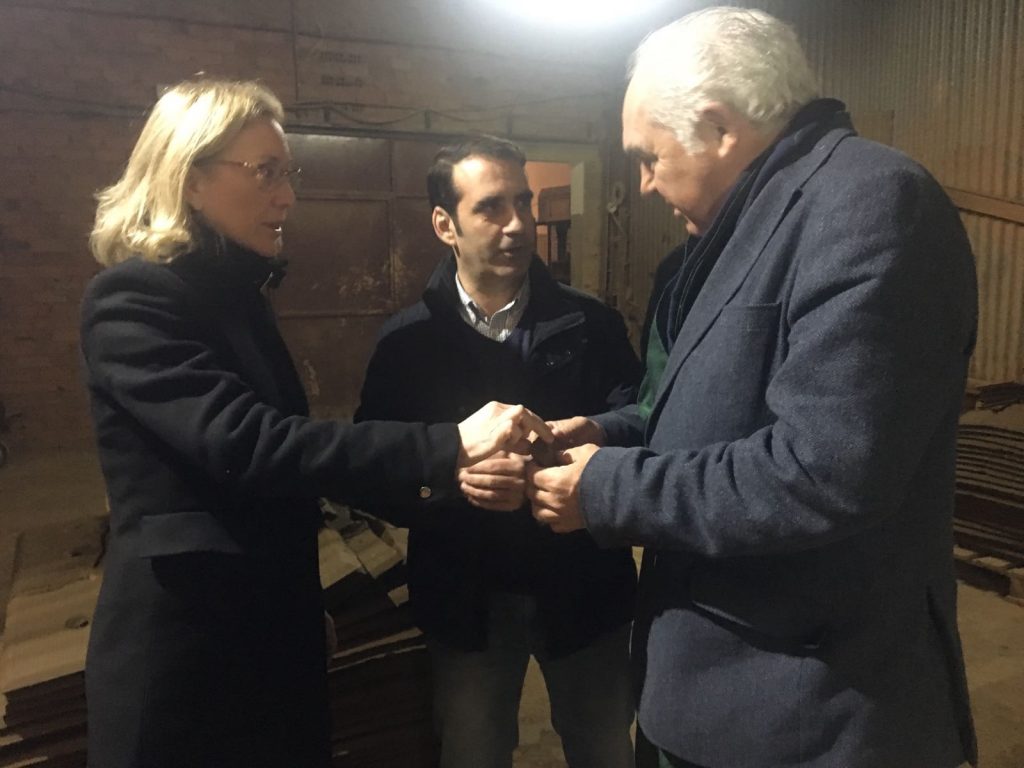 Angulo y Acedo 4